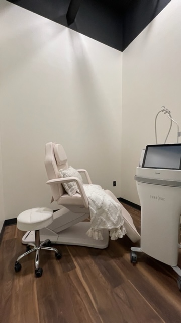 dental chair Elite Dental Spa - Victor, NY